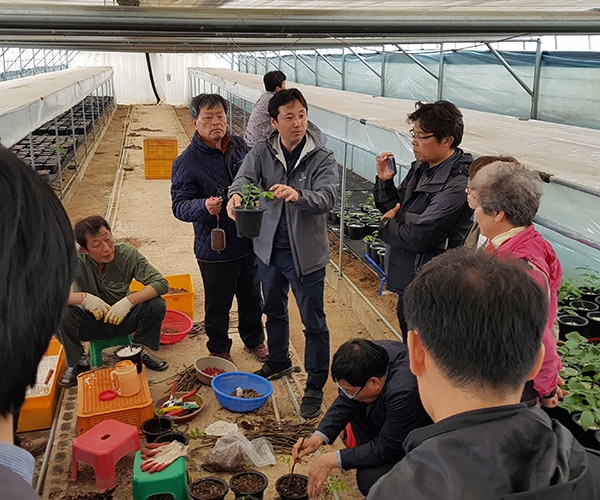 산림과학원은 지난 13일 김천시 호두 양묘장에서 호두나무 묘목의 생산기술 현장설명회를 개최했다.