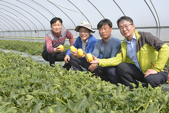 경북 성주 참외 재배 하우스에서 풍년농사 지원하는 농우바이오 임직원(좌측 두 번째 최유현 농우바이오 대표)