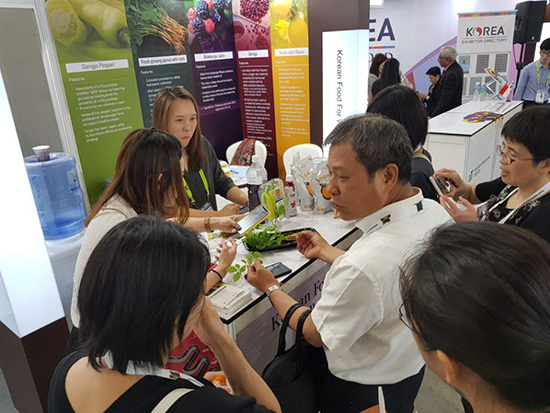 싱가포르 국제식품박람회 한국관에 전시된 새싹인삼을 살펴보고 있는 현지 관람객