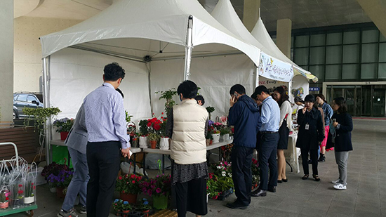 지난 3일 농식품부 세종청사에서 진행된 꽃 직거래장터에 세종시 주민들이 방문하고 있다.