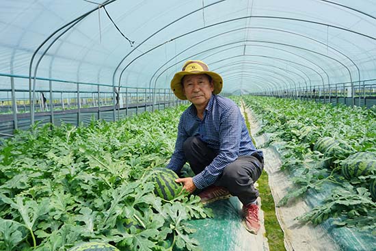 김영남 광주원예농협 이사는 시설수박 재배 관련 온도관리가 중요하다고 강조했다.