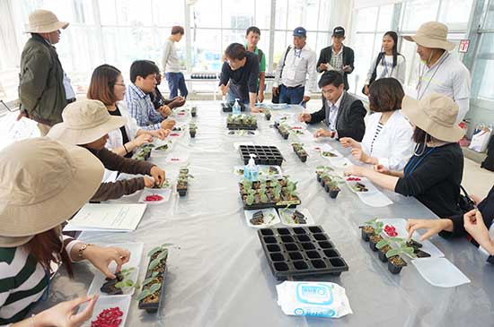농촌진흥청은 지난 7일부터 13일까지 세계채소센터 한국지소와 함께 해외연수생연합체 채소 생산 기술 훈련을 실시했다.