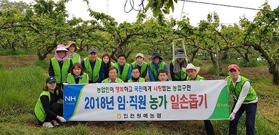 지난 14일 이기용 조합장이 과수원을 방문 적과시기 농가일손돕기에 동참하고 있다.