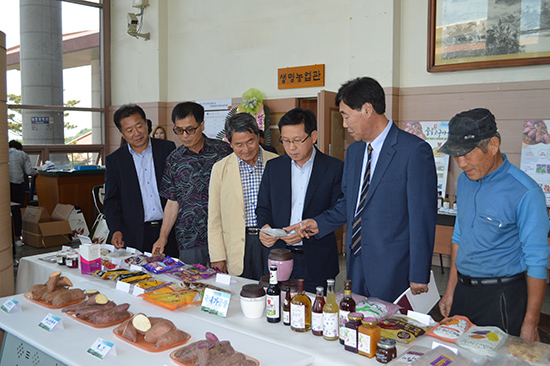 김홍식 단장(오른쪽 두 번째)이 고구마를 활용한 가공품 전시회에서 설명을 하고 있다.