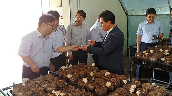 산림조합중앙회는 지난달 18일 전남버섯배지센터에서 ‘권역별 표고톱밥배지센터 운영활성화 간담회’를 개최했다.