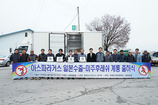 협력단이 지난 4월9일 서춘천농협에서 ‘아스파라거스 일본수출-미주후레쉬 계통 출하식’을 개최하고 있다.