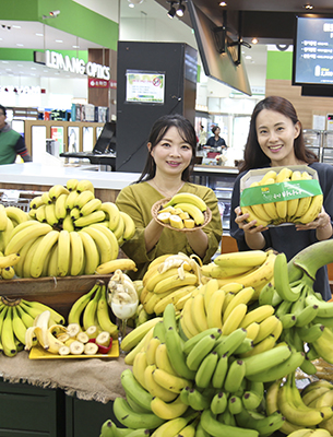 지난 18일 농협하나로마트 양재점에서 맛있고 신선한 바나나를 모델들이 선보이고 있다.