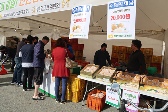 방문객들은 저렴한 가격에 천안배원예농협 조합원들이 생산한 우수한 배를 구매하며 만족감을 드러냈다.