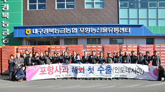 대구경북능금농협 포항농산물유통센터는 포항지역서 생산된 사과를 사상 처음으로 지난달 22일 인도네시아로 13톤 수출했다.