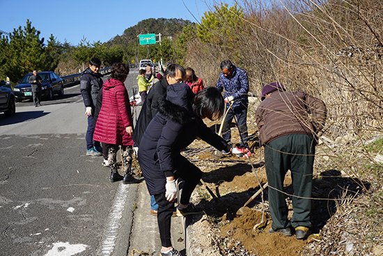 지난달 23일 한국화훼협회 전문 봉사자들과 충북 괴산 사기막리 마을 주민들이 입구 주위에 아기꽃사과를 심고 있다.