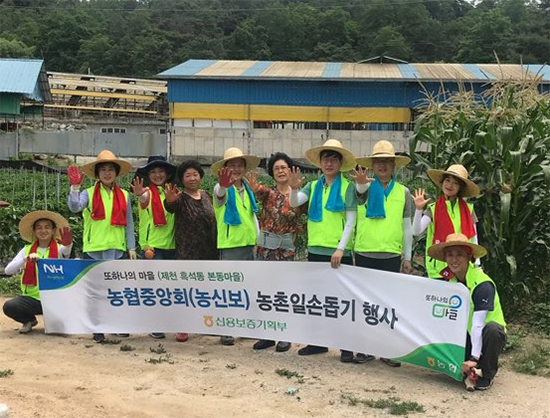 농신보 중앙본부 및 보증센터 직원 10명은 지난달 28일 충북 제천 마늘 수확농가를 방문해 농촌일손돕기를 실시했다.