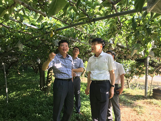 배민호 조합장(왼쪽 첫 번째)이 aT관계자와 함께 수출농가를 돌아보고 있다.