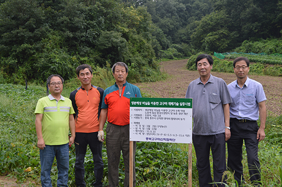 협력단이 생분해성 비닐을 이용해 재배기술 실증시험을 하고 있다(오른쪽 두 번째가 김홍식 단장).