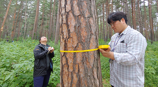 산림과학원은 지난 17일부터 19일까지 북중 접경지역인 중국 지린성 안투현 일대에서 현지조사를 실시했다.
