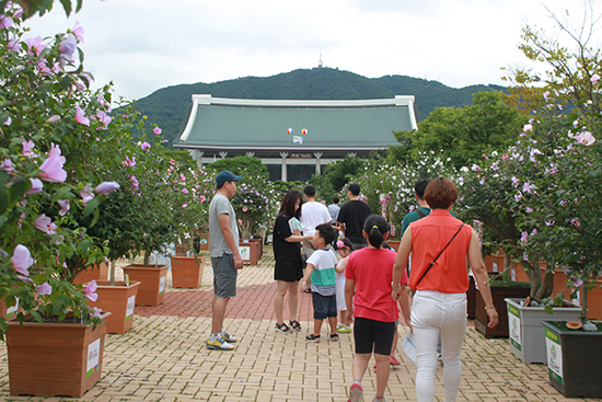 ‘나라꽃 무궁화 전국축제’는 무궁화의 아름다움과 우수성을 널리 알리고 나라꽃의 위상을 높이기 위해 1991년부터 매년 열리고 있다.
