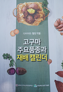 충북고구마산학연협력단은 최근 충청북도농업기술원과 공동으로 ‘다이어트·웰빙 작물 고구마 주요품종과 재배 캘린더’를 발간했다.