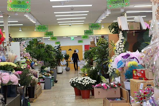 서울 양재동꽃시장이 신종 코로나 바이러스 여파로 한산한 모습을 보이고 있다.