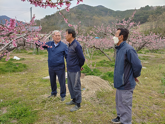 광주원협 정일기 조합장(왼쪽 첫번째)이 저온피해농가를 방문해 애로사항을 듣고 있다.