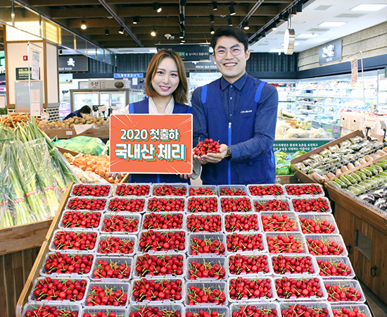 농협하나로유통은 지난달 29일부터 경북 경주지역에서 올해 첫 출하된 국내산 체리를 판매하고 있다.