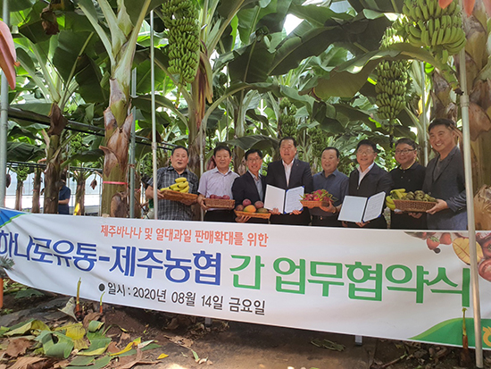 농협하나로유통은 지난 14일 제주 바나나 농가에서 농협제주지역본부, 제주 김녕농협과 상호협력을 위한 업무협약을 체결했다.