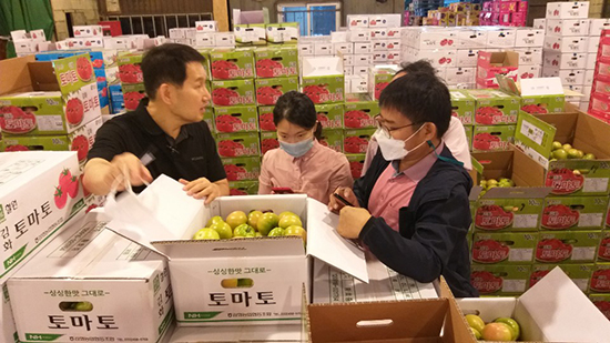 토마토 시장성 평가