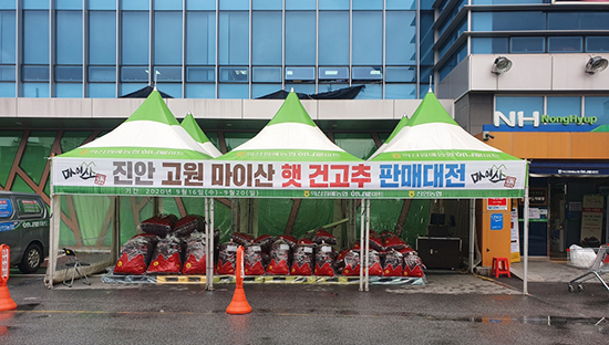 조합은 지난 9월16일부터 20일까지 하나로마트 야외매장에서 ‘진안 고원 마이산 햇 건고추 판매대전’을 개최했다.