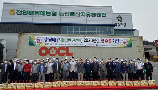 천안배원예농협은 지난 9월17일 APC에서 박상돈 천안시장, 오세운 충남도청 농식품유통과장 등이 참석한 가운데 금년산 햇배를 미국에 수출하는 선적식을 개최했다.
