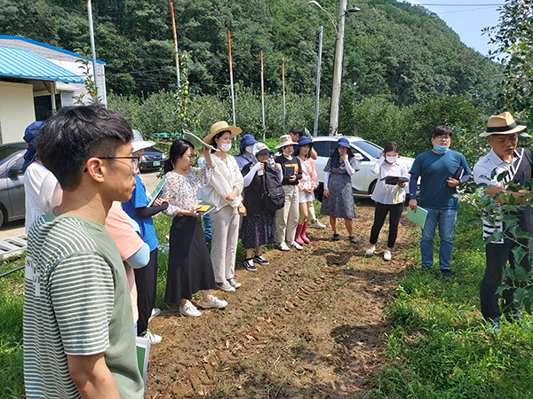 경북농기원은 전국 최초로 사과의 생육, 환경, 경영데이터를 수집, 구축하여 데이터 기반 AI모델을 개발한다고 밝혔다.