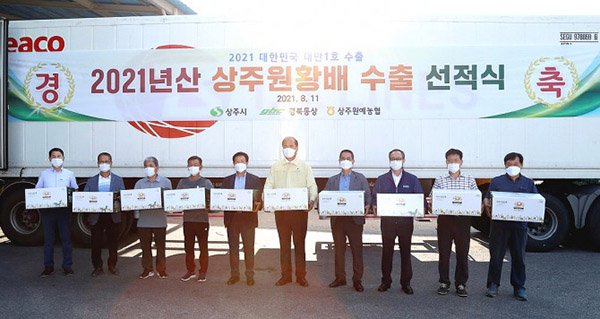 상주원예농협이 지난 11일 배 수출공선회원 농가 및 수출 관계자를 비롯해 강영석 상주시장이 참석한 가운데 올해 재배된 원황배의 첫 수출 기념식을 가졌다.
