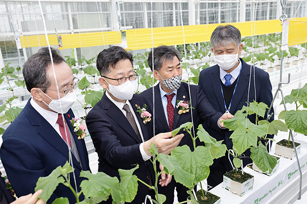농식품부 김현수 장관(왼쪽에서 두 번째)은 지난달 29일 전북 김제 스마트팜 혁신밸리의 준공식에 참석해 관계자들과 함께 시설을 둘러봤다.