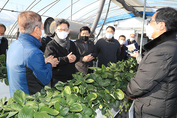 김현수 농식품부 장관(왼쪽에서 두 번째)은 지난 11일 충청남도 논산시 소재 딸기 재배 농가와 농협 산지유통센터를 방문했다.