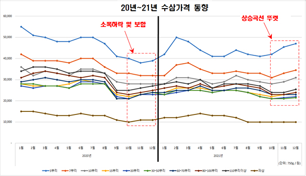 코로나19에 따른 소비부진 영향으로 하락세가 지속됐던 충남 금산군 수삼가격이 지난해 4분기부터 상승세에 들어선 것으로 확인됐다.