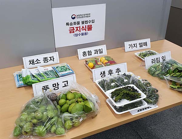 단속현장에서 압수된 열대과일, 채소류 등 금지식물