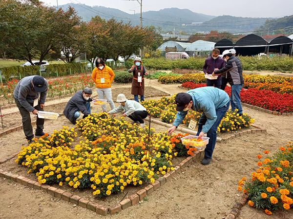 도시농업활동 모습(사진 = 서울시농업기술센터)