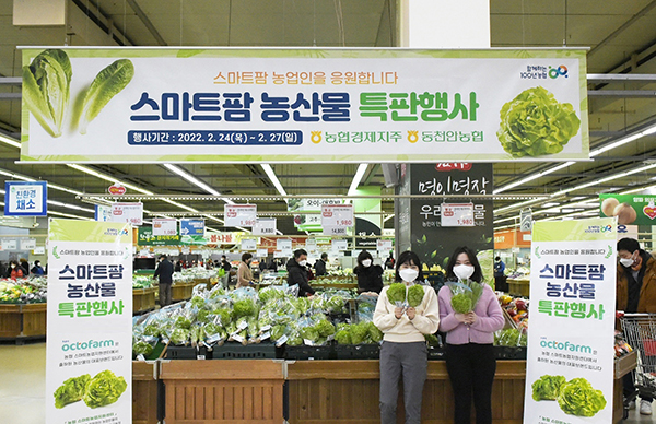 농협이 스마트팜에서 생산한 농산물의 우수성을 홍보하고 판매를 활성화하기 위해 지난달 24일부터 27일까지 수도권 하나로마트(양재, 창동, 성남, 고양, 수원, 삼송, 동탄)에서 스마트팜 농산물 특판행사를 실시했다.