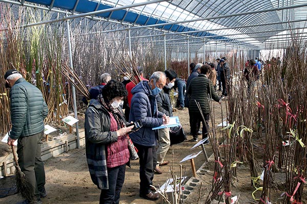 ‘산림조합 푸른장터 나무시장’
