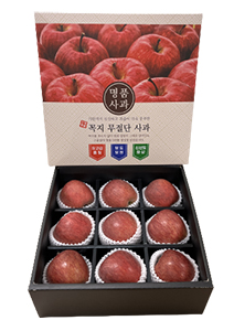 꼭지무절단사과 선물세트