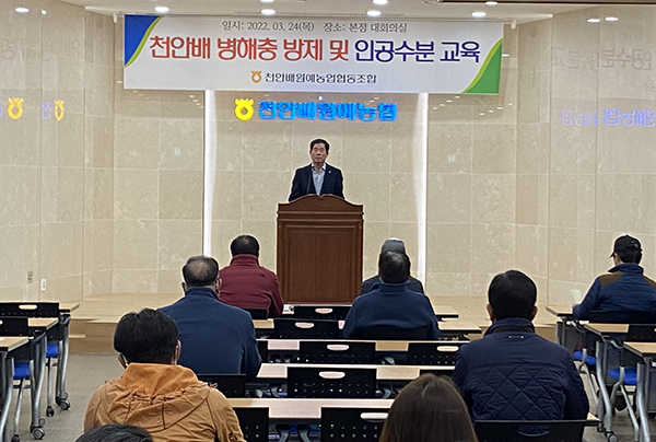 천안배원협은 지난달 24일 본점 대회의실에서 조합원을 대상으로 천안 배 병해충 방제 및 인공수분 교육을 실시했다.