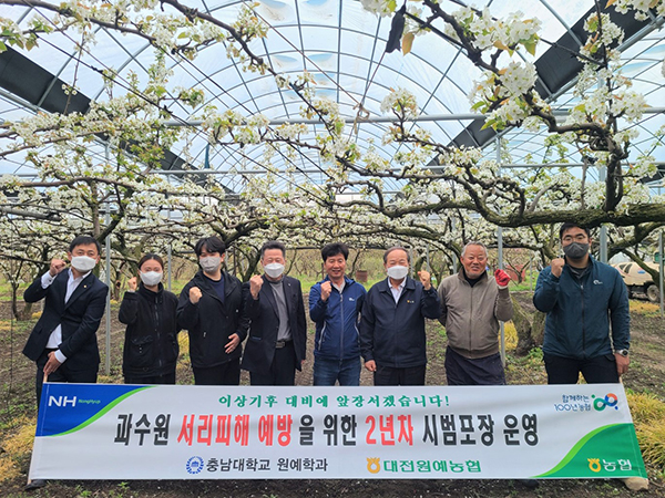 대전원협은 충남대 원예학과 천종필 교수와 협력해 지난해에 이어 2년차 시범포장을 운영한다고 밝혔다.