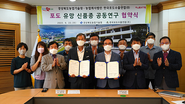 경상북도농업기술원은 지난달 22일 경북도에서 육성한 포도 신품종 보급 및 수출활성화를 위한 공동연구를 위해 한국포도수출연합㈜와 업무협약을 체결했다.