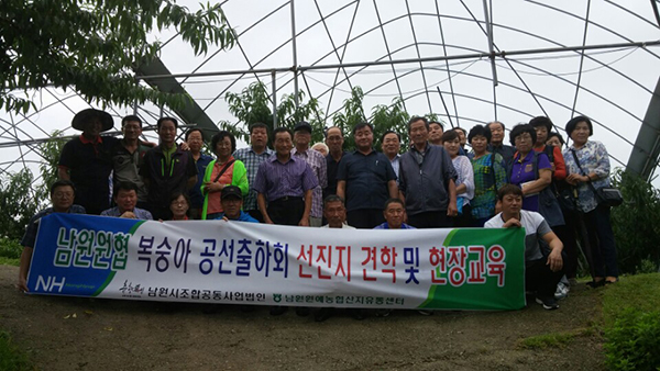 복숭아공선출하회는 현장교육 및 우수선진지 견학을 실시하고 있다.