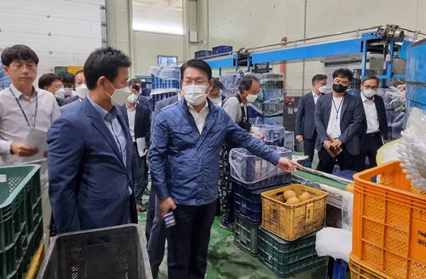 지난 1일 아산원예농협 산지유통센터에서 김인중 차관(가운데)과 구본권 아산원협 조합장(왼쪽)이 햇배 선별·출하 현황을 살펴보고 있다.