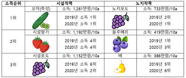 * 오이(도매가격): (’20) 1,640원/kg → (’21) 1,710(전년 대비 4%↑, 평년 대비 11%↑)