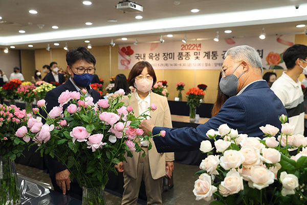 농촌진흥청은 지난달 29~30일 서울 양재 화훼공판장(한국농수산식품유통공사 화훼사업센터)에서 평가회를 열었다.