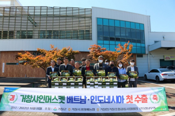 거창사과원예농협은 지난 11일 샤인머스캣 470상자를 인도네시아와 베트남으로 수출했다.