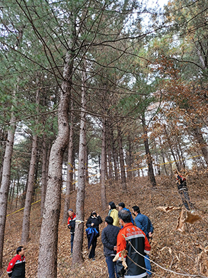 산림청은 최근 강원도 철원군 갈말읍 일원에 잣나무 2그루가 재선충병에 감염된 것으로 최종 확인됐다고 밝혔다.