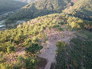 의령군 내 선도 산림경영단지 산림텃밭 전경