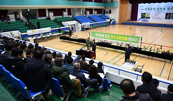 한국 춘란 전국 순회경매가 실시되고 있다.