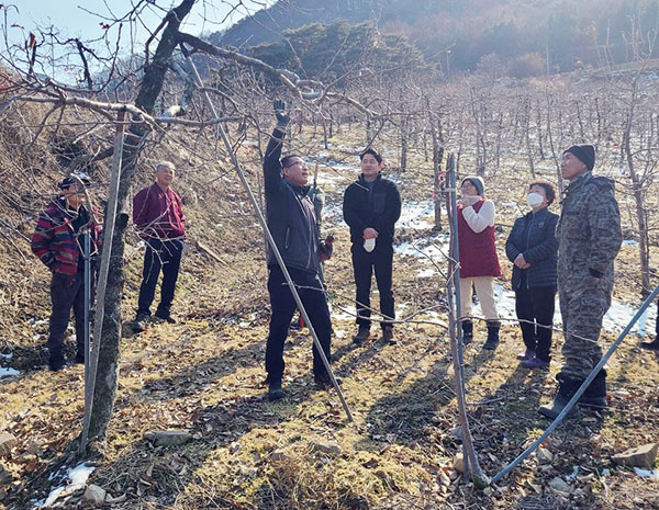 충북원예농협과 괴산군 농업기술센터 관계자들이 과수화상병 확산 방지를 위한 전정교육을 실시하고 있다.