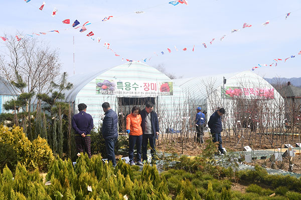 산림조합 나무시장